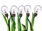 iStock_000008845773Small iStock_000008845773Small
