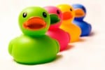 iStock_000003897027XSmall