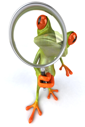 iStock 000009303510XSmall 15 Reasons to Be Your Own Social Business Frog  