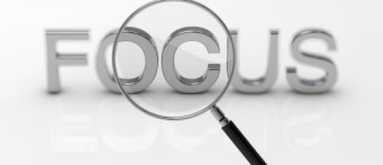social business focus