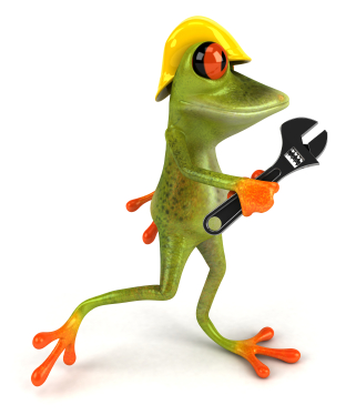 iStock 000010980649XSmall 15 Reasons to Be Your Own Social Business Frog  