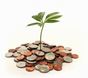 iStock 000011832565XSmall1 300x265 Social Business: Its NOT About the Next BIG Thing! 