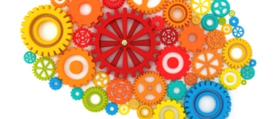 social media human group dynamics