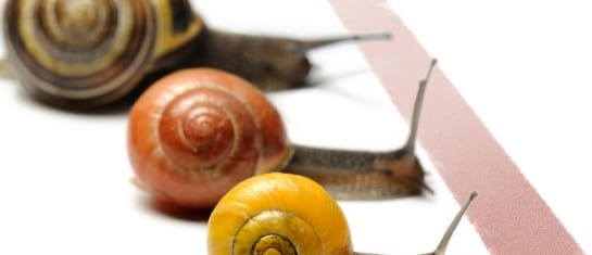 run your own social blogging race