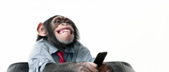 linkedin sales professionals tips