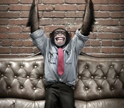quit making up excuses social business