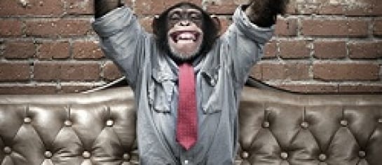 quit making up excuses social business