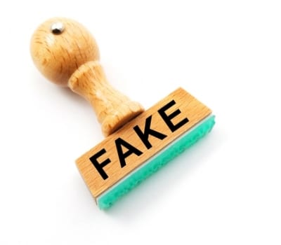 fake fake social media community