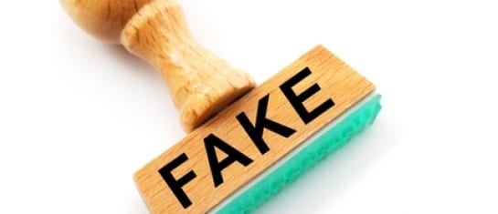 fake fake social media community