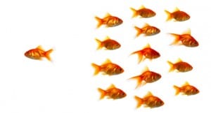 photodune 171220 entrepreneur outsider or just pure shark bait xs 300x162 The New LinkedIn Endorsements: Are We Being Gamed LinkedIn? 
