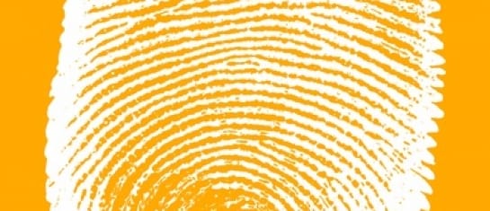 Human Brand Characteristics Social Business