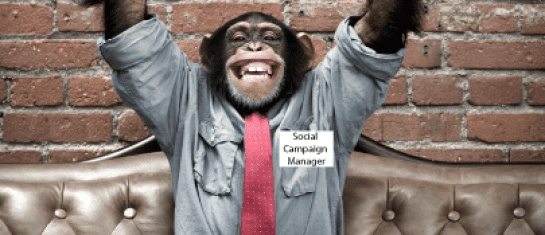 Social Media Political Candidate Campaign Managers Do Your Job!