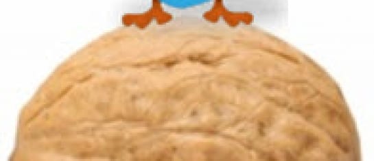 social media nut shell tweets