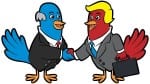 website development that does more than tweet