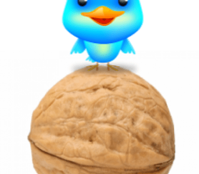 social media in a nut shell