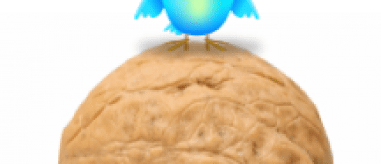 social media in a nut shell