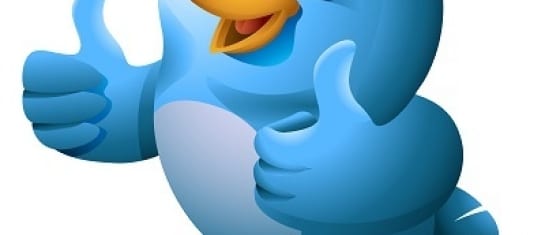 we are not afraid to tweet