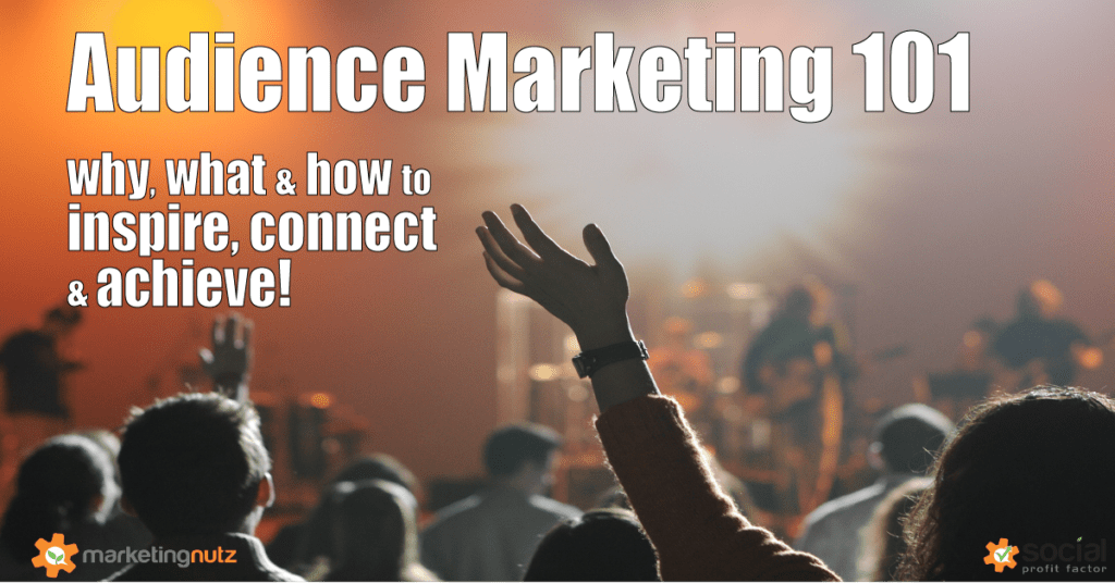 Audience Marketing Strategy Social Media Digital Marketing Agency