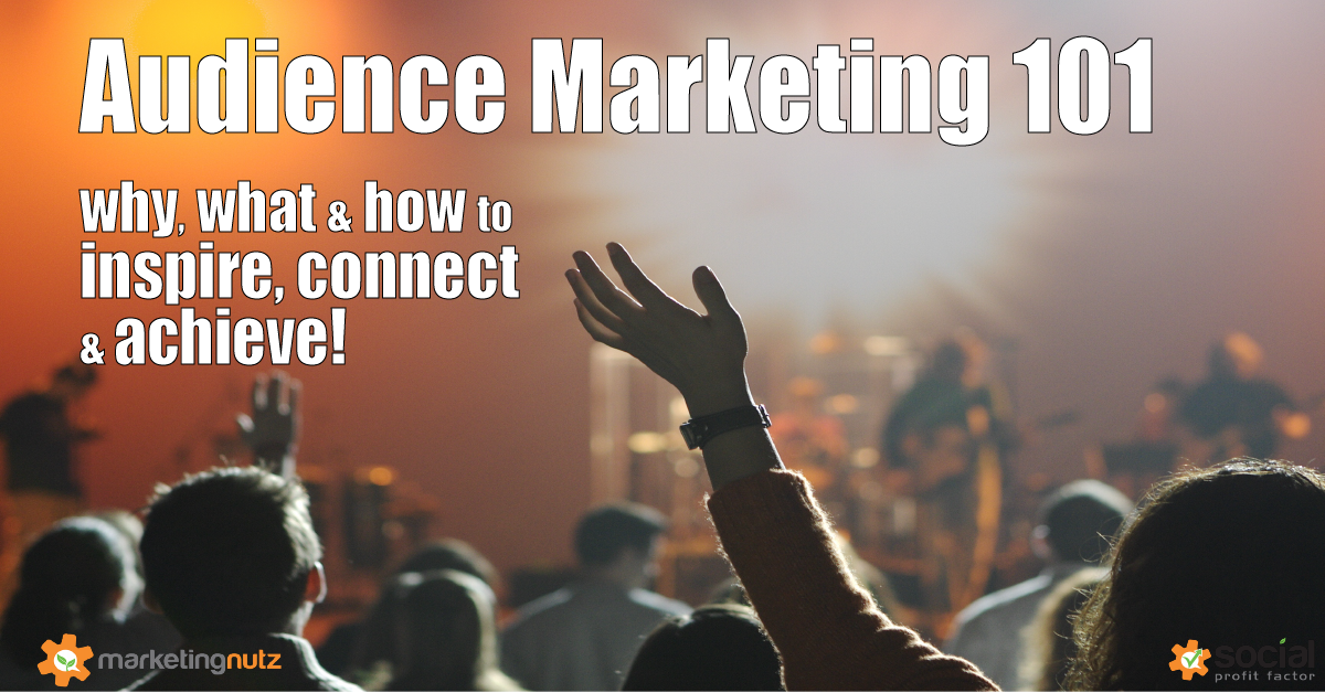 Audience Marketing Strategy Social Media Digital Marketing Agency