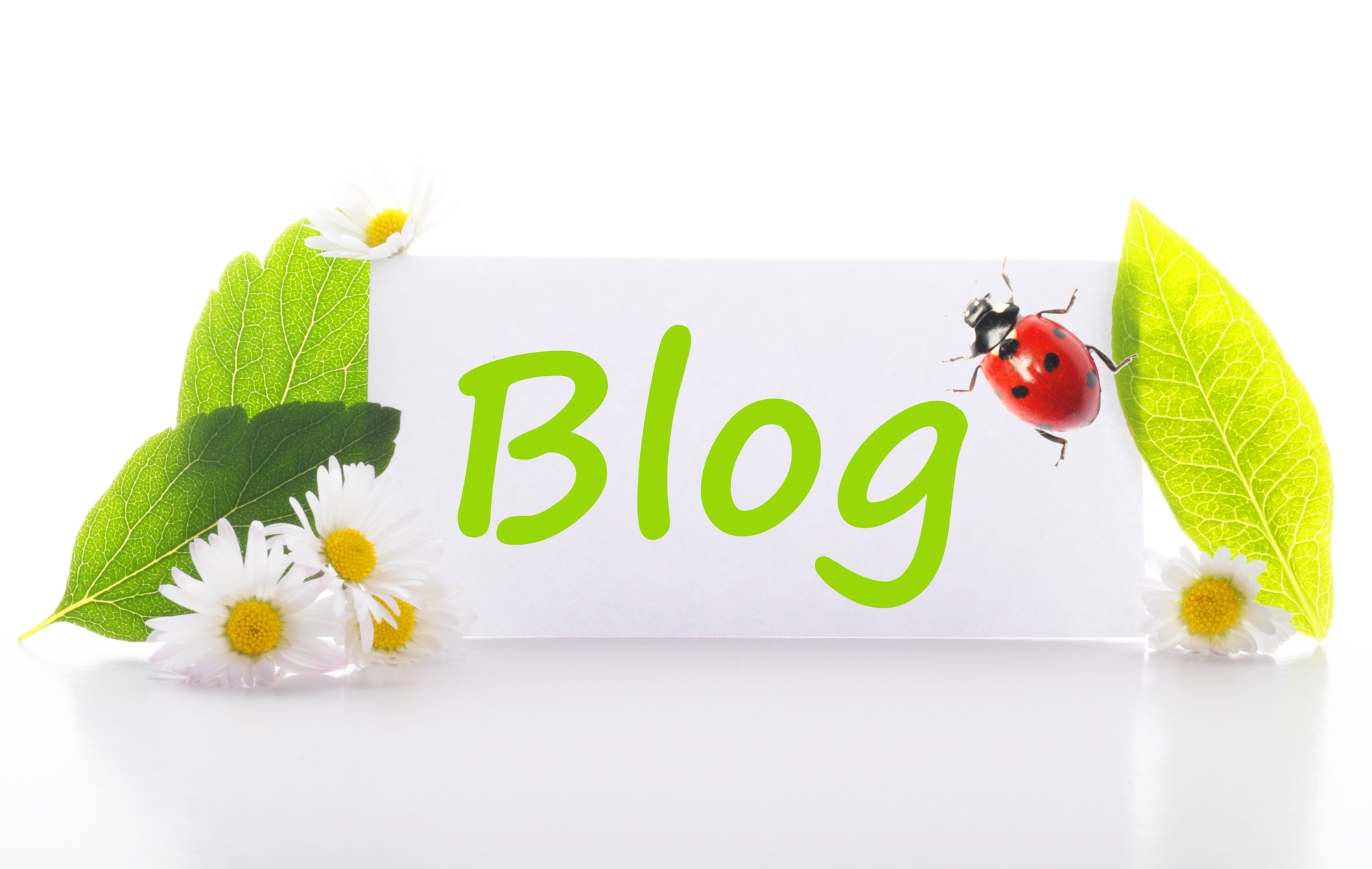 Blogging for Business Results: 10 Proven Strategies that Work for Any Size Business
