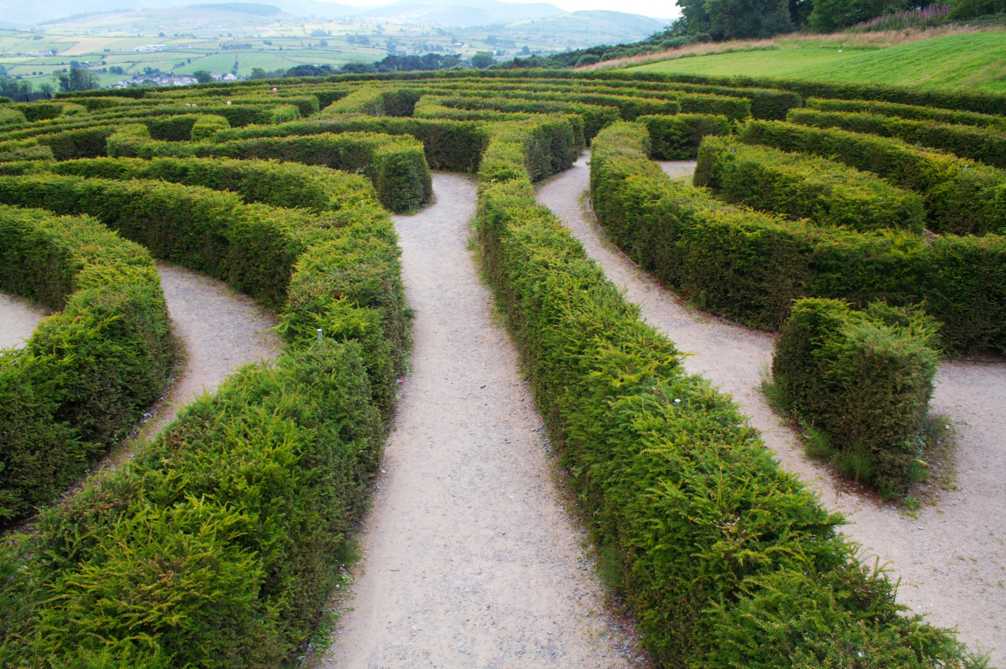 Get Out of Weeds and Learn the Difference: Digital Strategy, Plan and Tactics