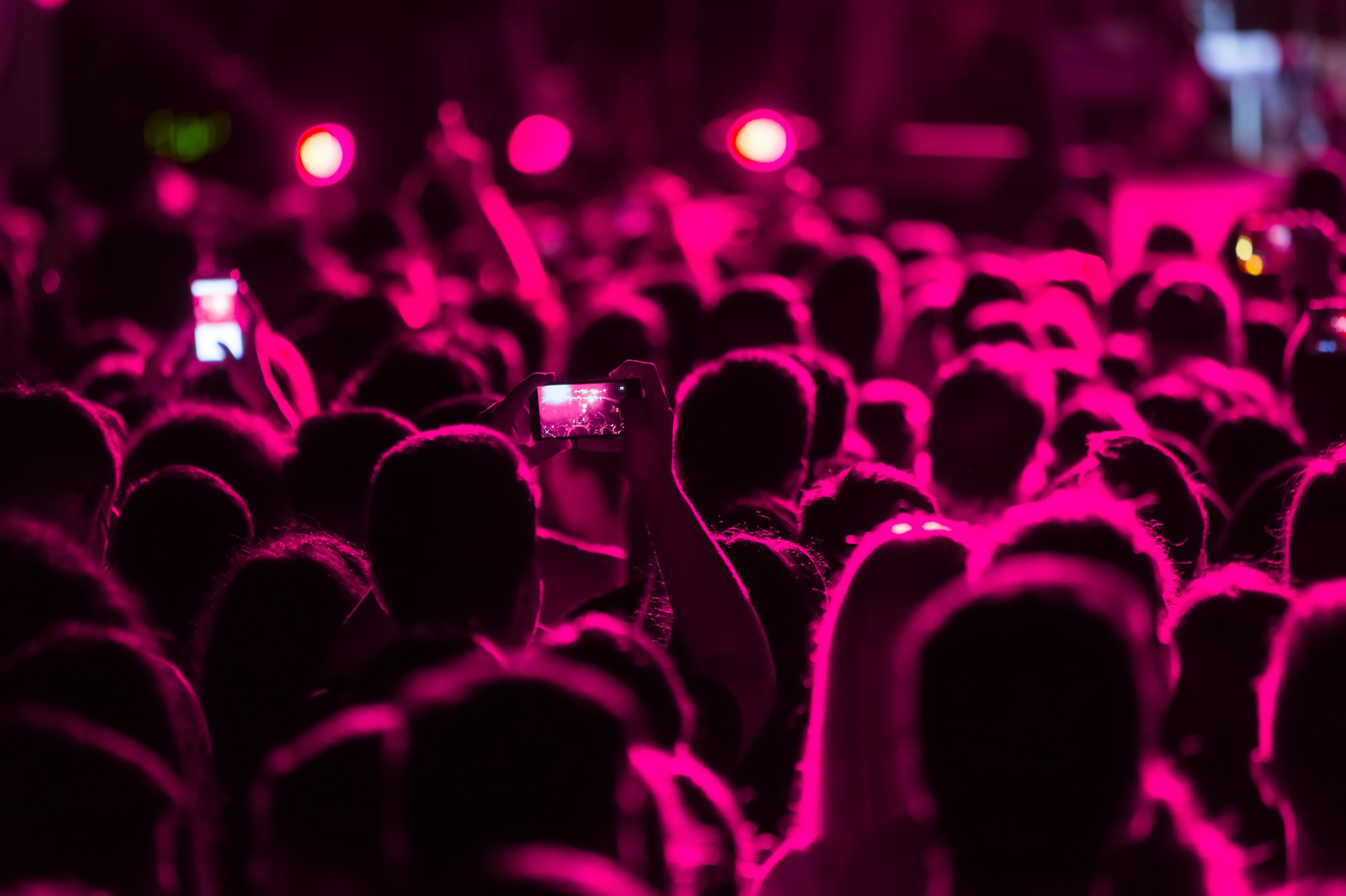 Is Your Content Top of Feed Worthy?