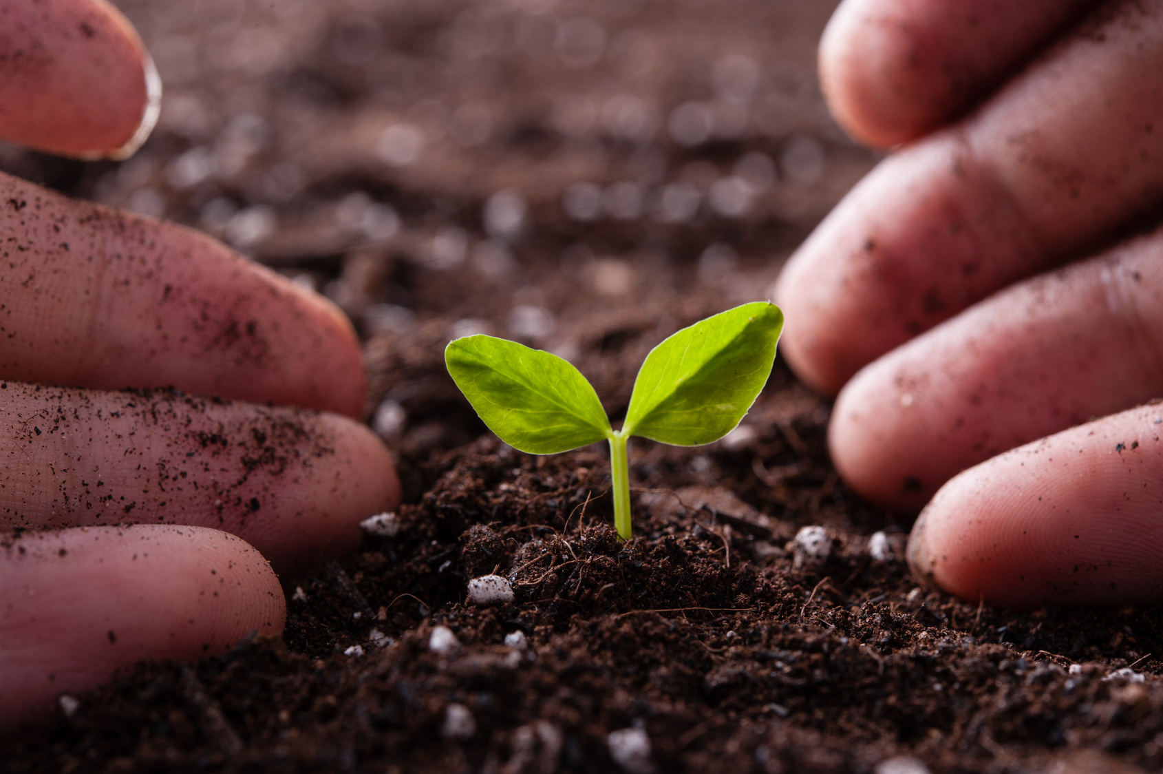 Defining Social Media Success, Goals, Objectives, KPIs in a Nutshell