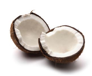 social media agency branding services