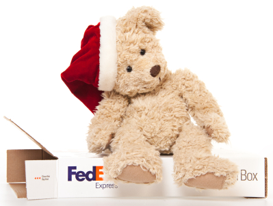 fedex customer service holiday case study